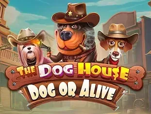 The Dog House - Dog Or Alive thumbnail